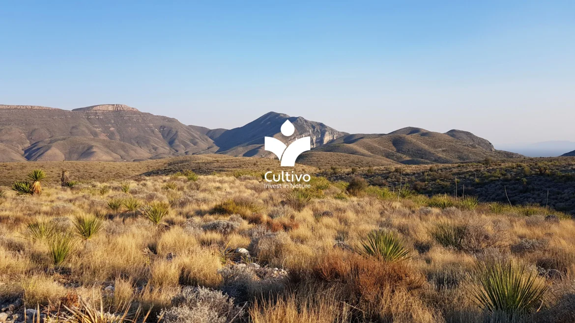 Cultivo Secures $14 Million in Series A Funding, Accelerating Nature Regeneration Mission